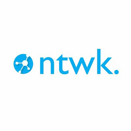 Network Token Coin Logo